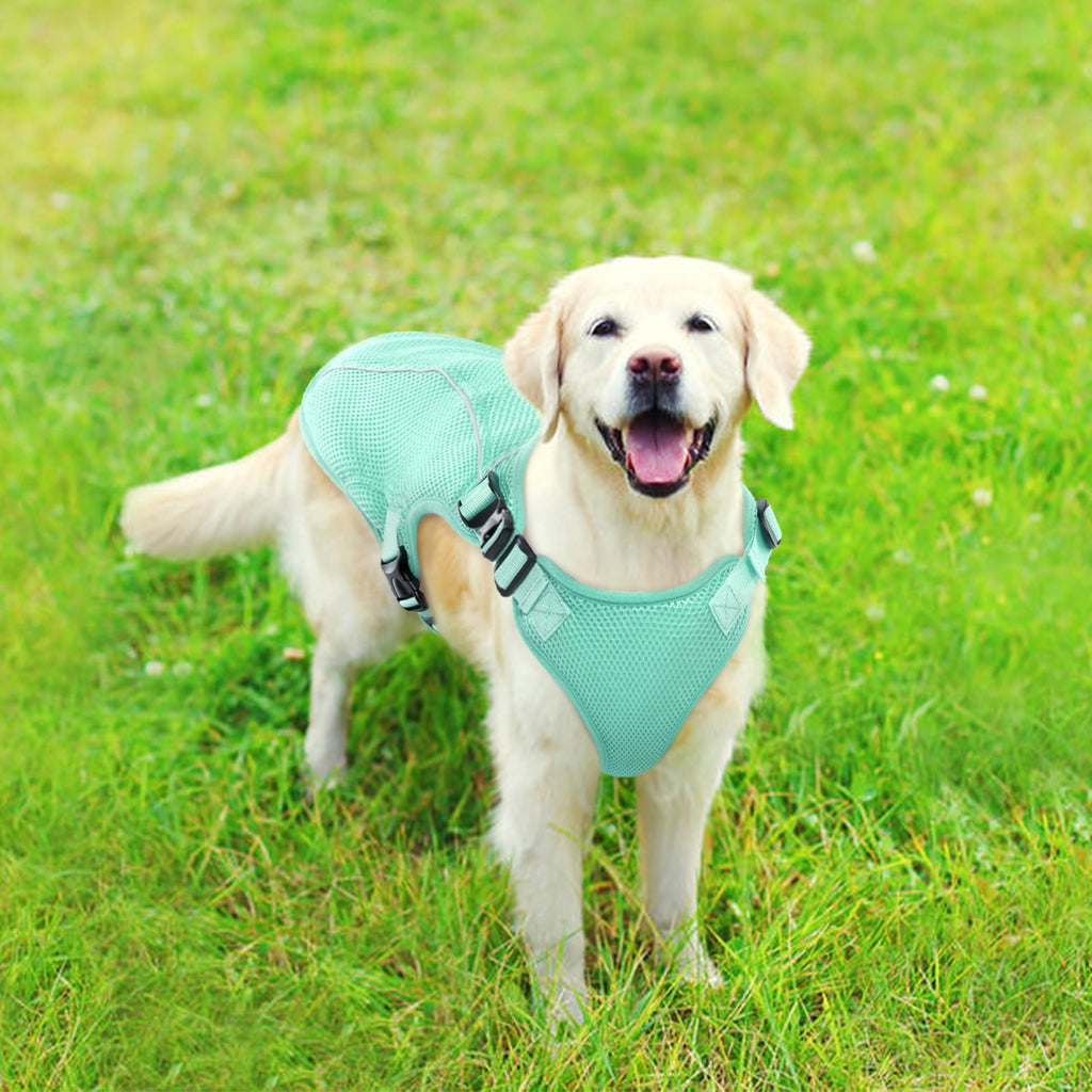 Kuoser Dog Cooling Vest, Breathable Mesh Ice Vest for Dogs, Cooling Jacket for Pet, Blue, extra large