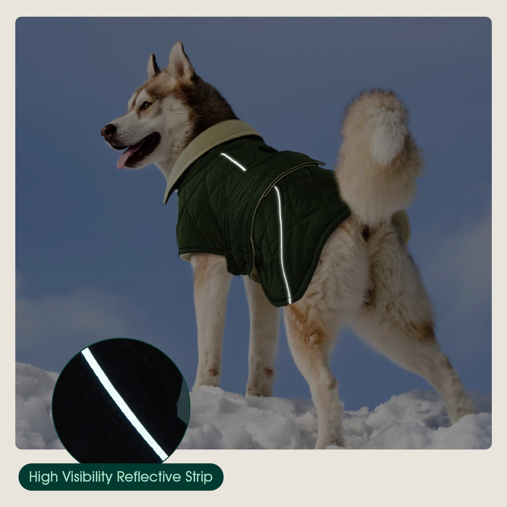 Kuoser Dog Coat Warm Dog Winter Jacket for Small Medium Large Dogs, Green, M