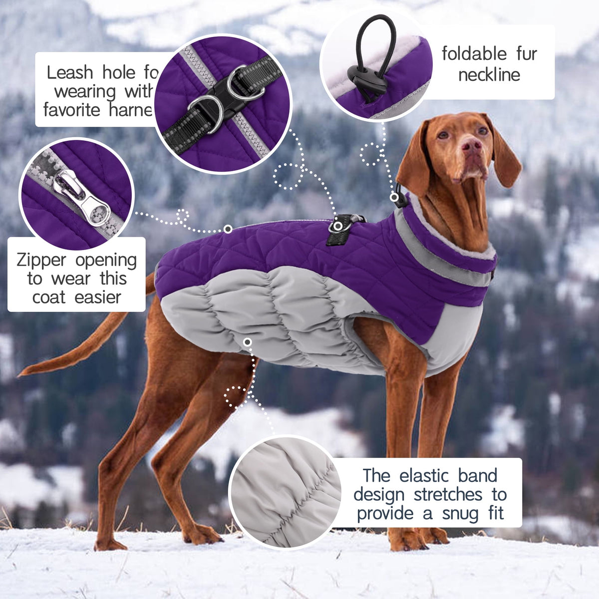 Kuoser Dog Winter Coat, Waterproof Windproof Fleece Padded Jacket with Reflective Trim and Leash Ring for Small Dogs, Purple, S