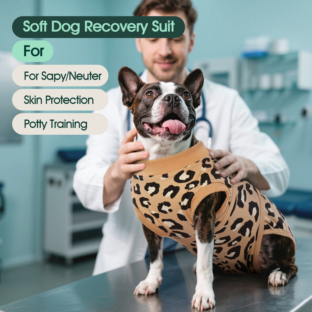 Kuoser Dog Recovery Suit after Surgery, Professional Surgical Onesie for Male Female Dogs, Soft Pet Surgery Suit for Abdominal Wounds Skin Disease, Purple Leopard, XL