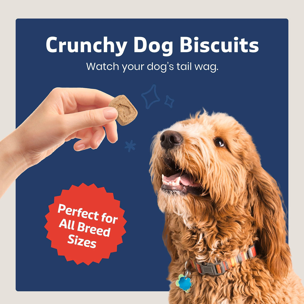 Blue Buffalo Health Bars Mini Dog Treats, Crunchy Biscuits, Bacon, Egg & Cheese, 40oz Tub