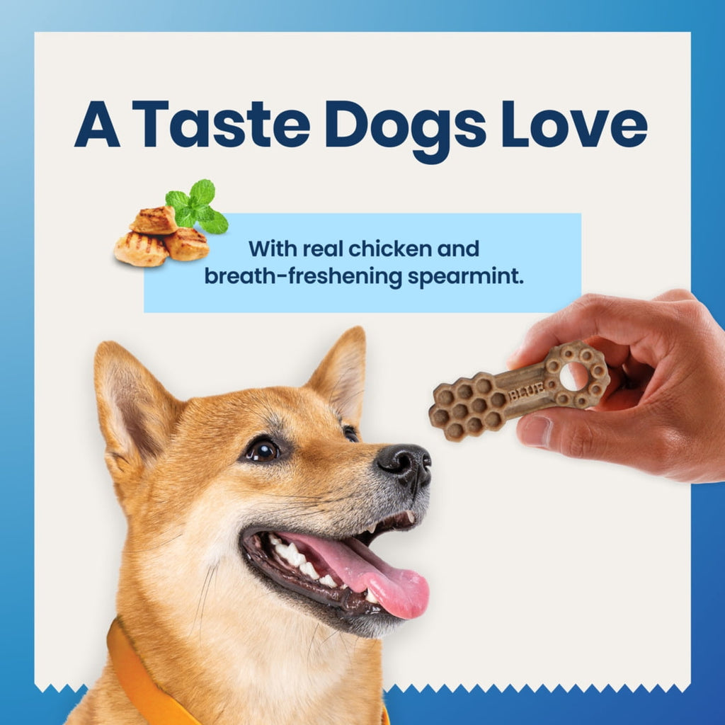 Blue Buffalo Dental Chews Small Natural Dog Treats, Chicken & Spearmint (56 Count)