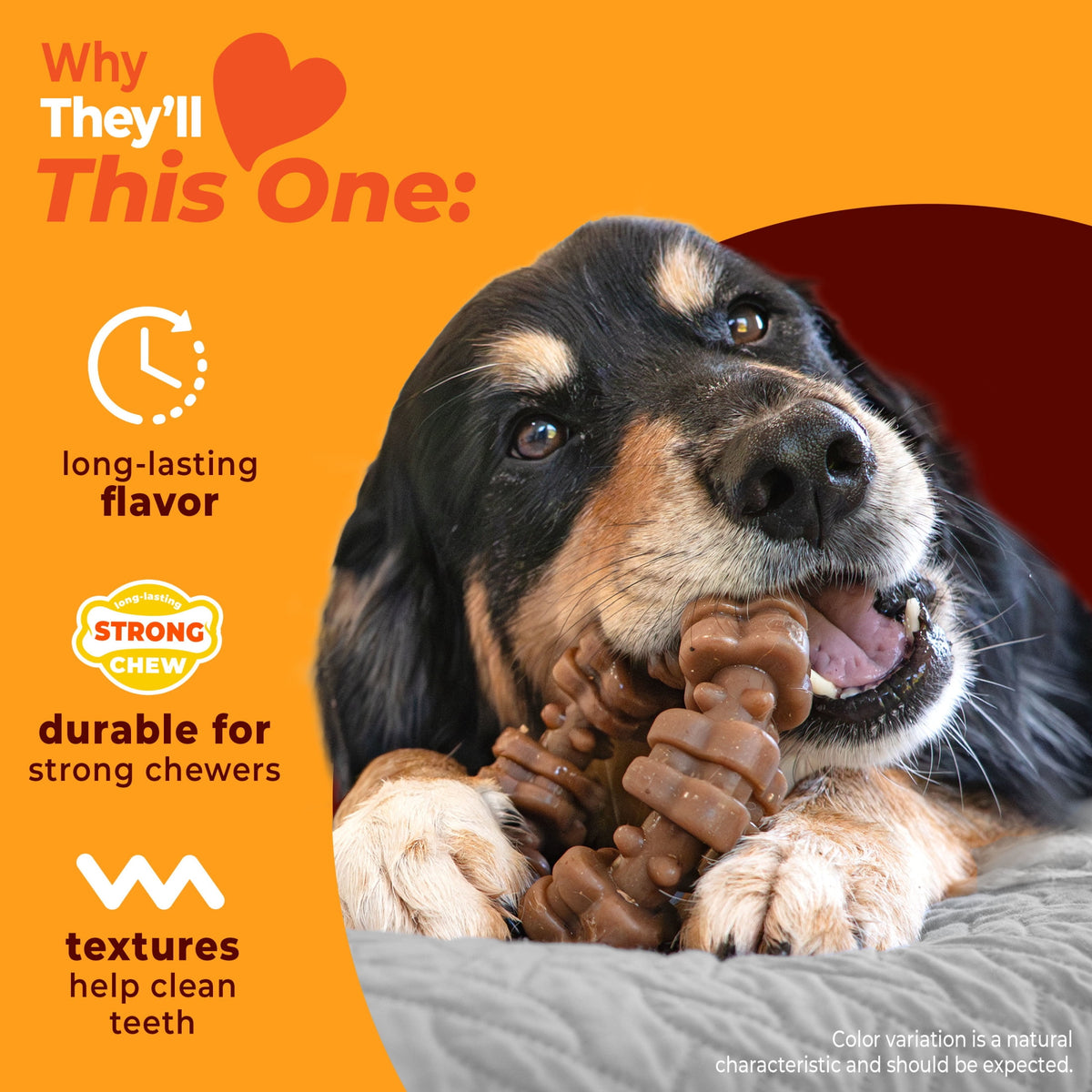 Nylabone Strong Chew Textured Ring Dog Toy, Dog Chew Toy Made with Real Beef & Chicken, X-Large