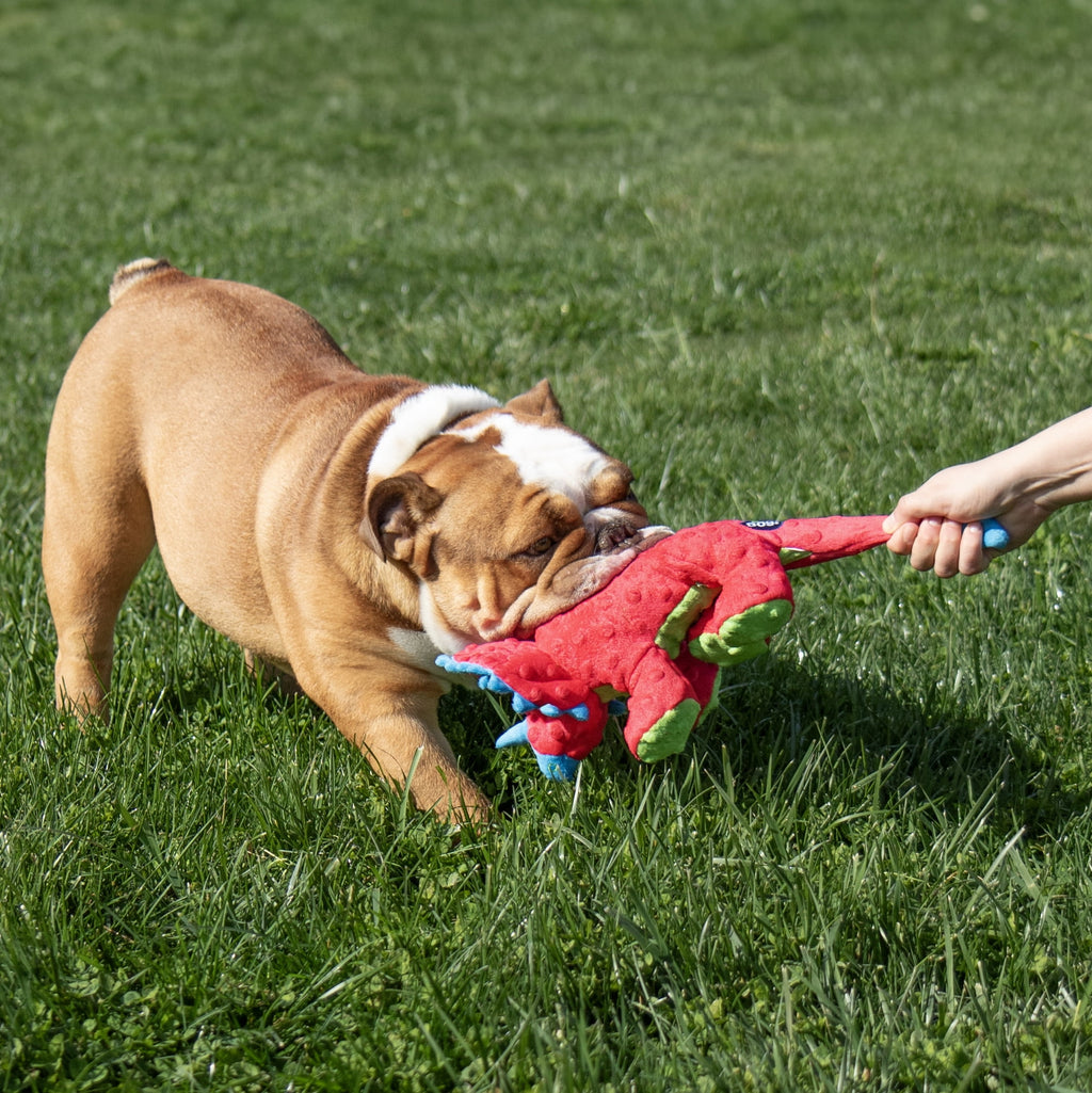goDog Dino Frills Squeaky Plush Toy for Dogs with Chew Guard Technology for Stronger & Longer Play, Soft & Durable with Built-In Squeaker, Red, Large