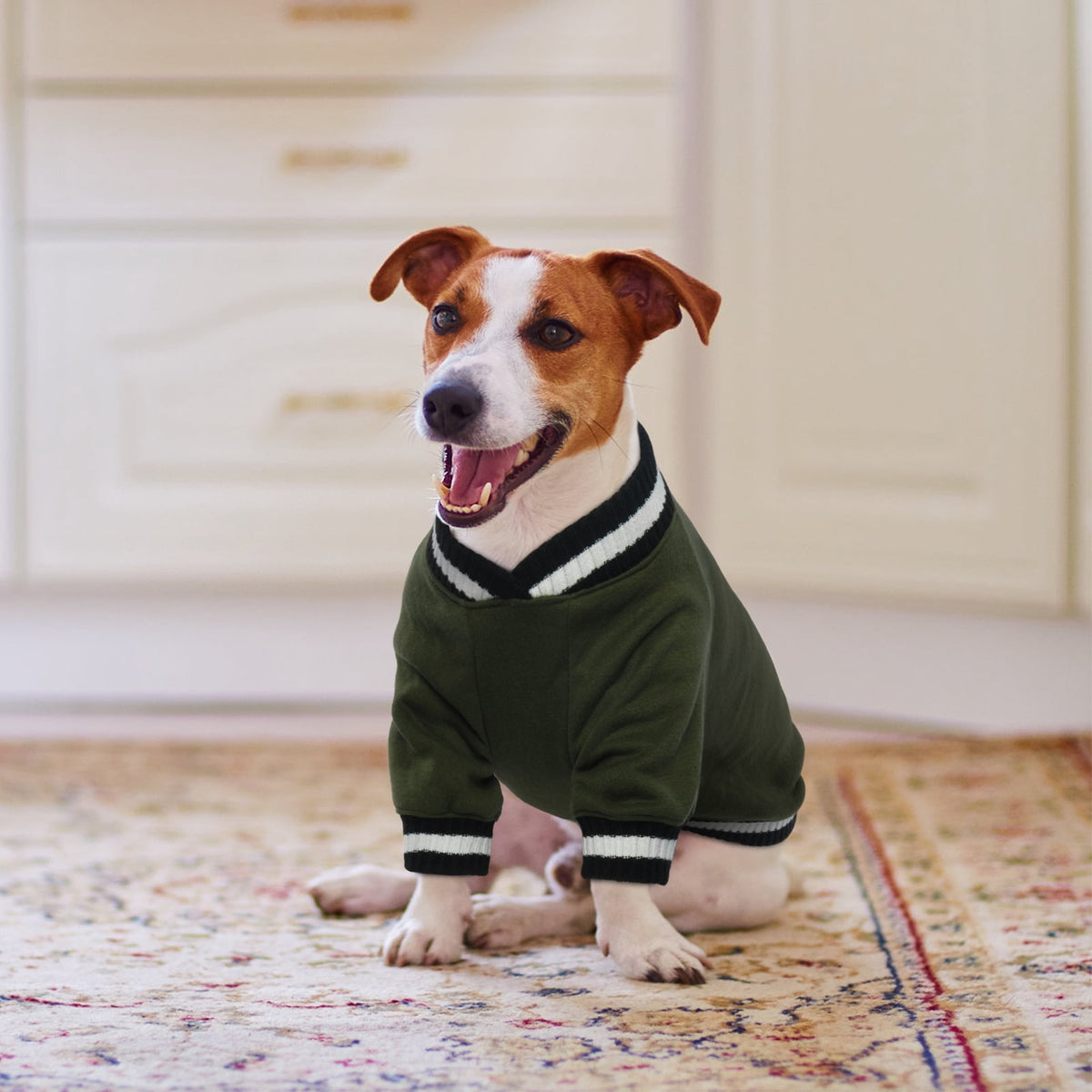 Kuoser Dog Winter Sweater, Cute Pet Pullover Vest, Soft and Thick Sweatshirt for Dogs and Cats, Green, XL