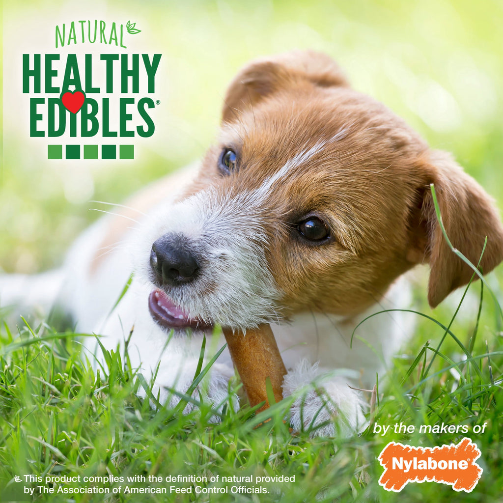 Nylabone Healthy Edibles Natural Dog Treats, Long Lasting Dog Bones, Bacon Flavor Dog Treats, For X-Small Dogs (8 Count)