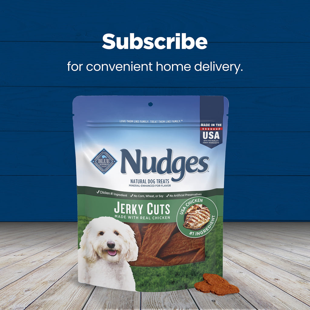 Blue Buffalo Nudges Jerky Cuts, Natural Dog Treats, Chicken Jerky, 28oz Bag