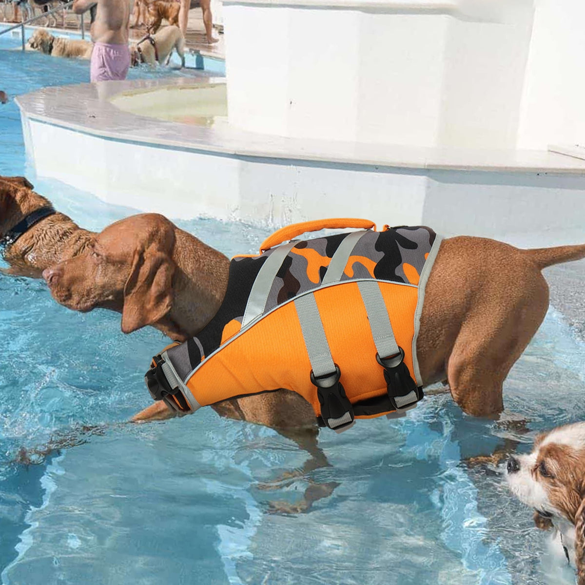 Kuoser Dog Life Jacket with Reflective Stripes, Adjustable Dog Life Vest, Red, M