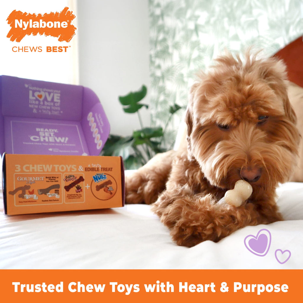 Nylabone Dog Toy Gift Box, Includes 3 Dog Chew Toys and 1 Dog Treat, Small Dogs, 4 Pack