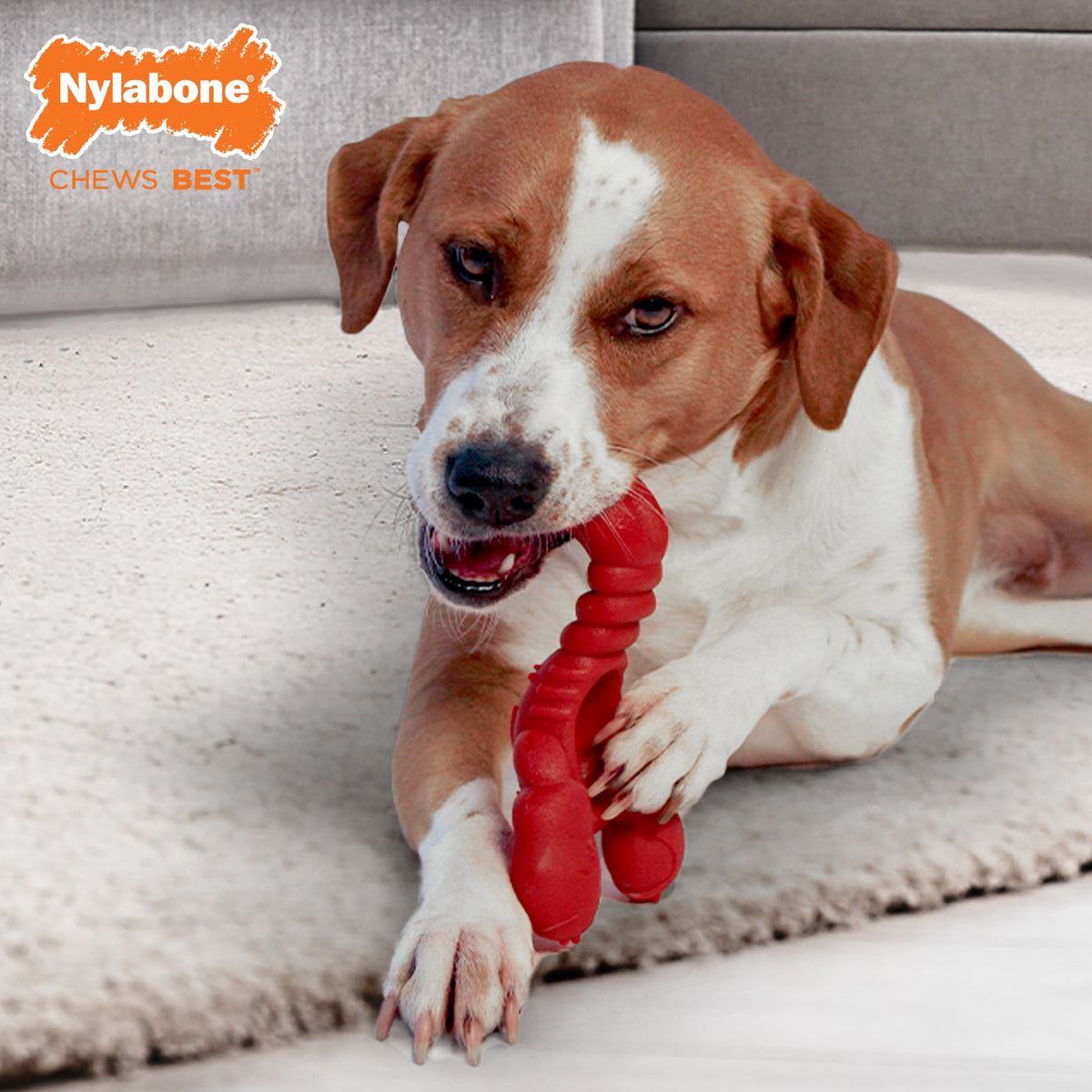 Nylabone Lobster Power Chew Toy For Dogs, Dog Toys For Aggressive Chewers, Dog Toy, Chew Toy, Toys For Aggressive Chewers, For Dogs