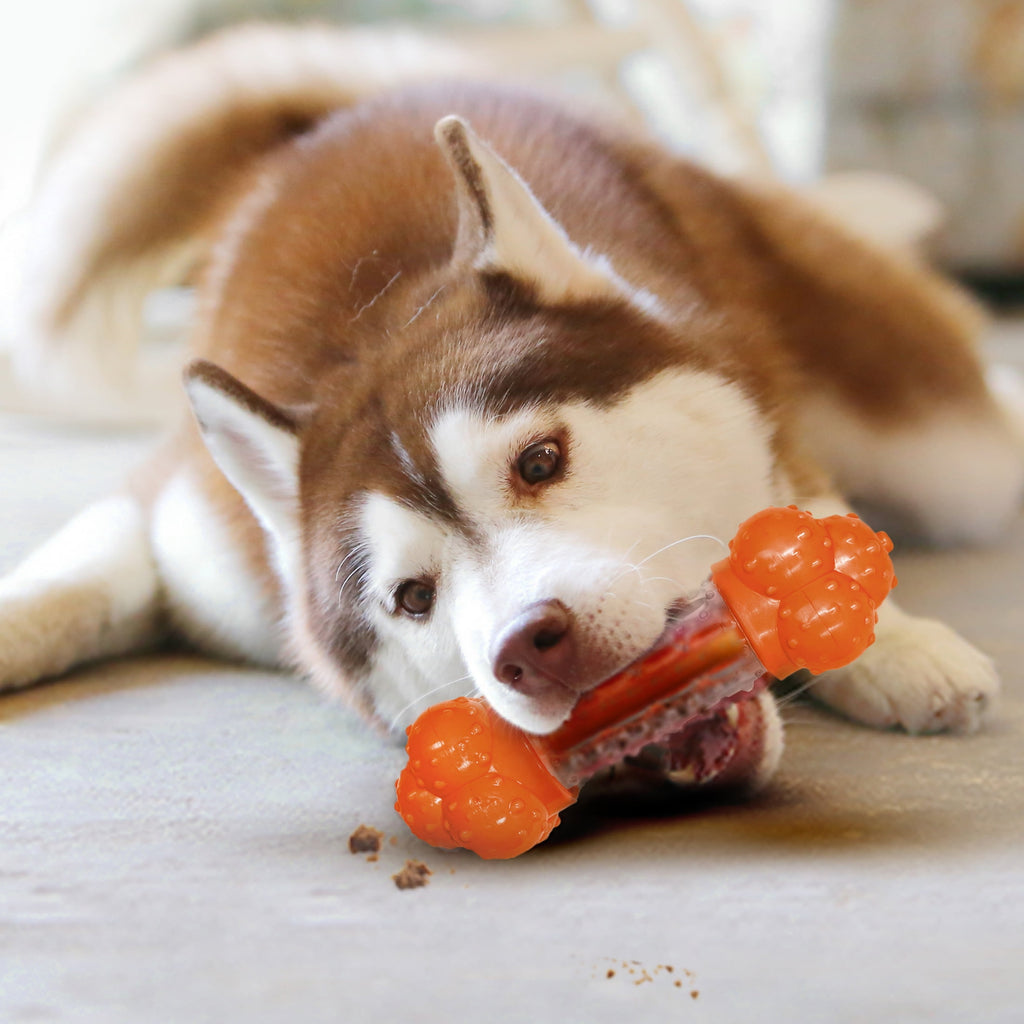 Nylabone Sneaky Snacker Dog Treat Toy Bacon Orange Large (1 Count)