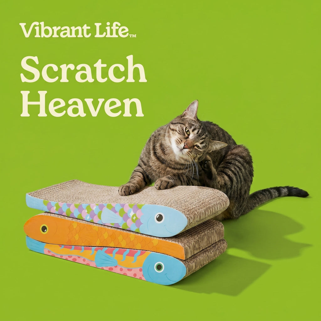 Vibrant Life Fish Cat Scratcher with Catnip, Multicolor, 3 Pack