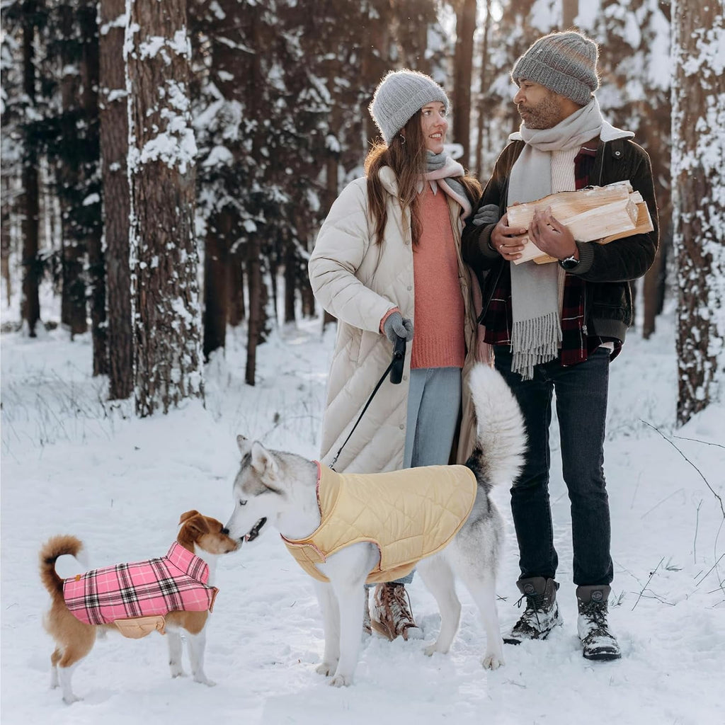 Kuoser Reversible Dog Coat Adjustable British Style Plaid Pet Jacket, Waterproof and Windproof, Blue, M