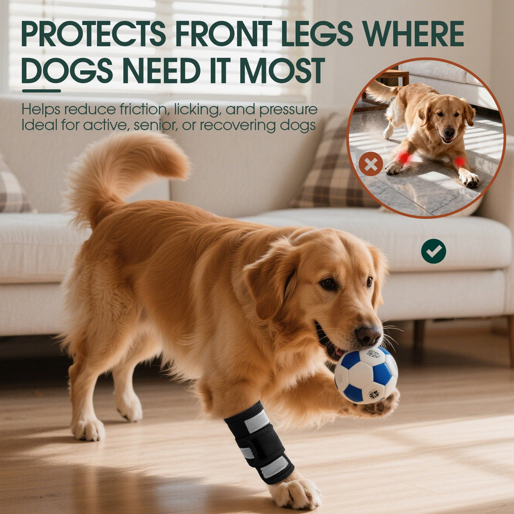 Kuoser Dog Front Leg Brace – Adjustable Carpal Support Wrap for Canine Joint, Wound Recovery & Anti-Licking Sleeve, Black, S/M