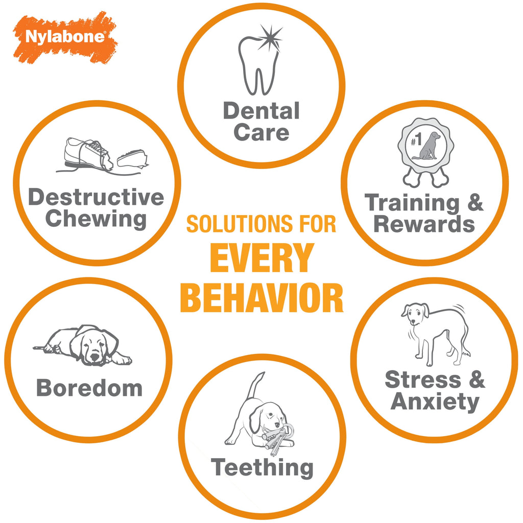 Nylabone Power Chew Antler Alternative Dog Chew Toy Venison Medium (1 Count)
