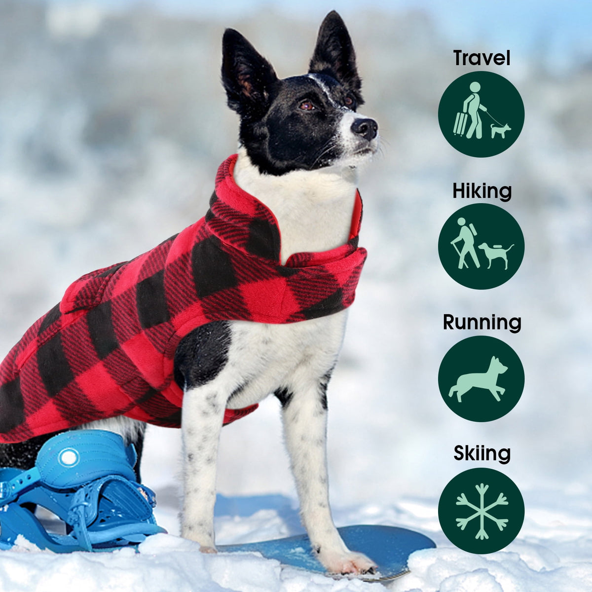 Kuoser British Style Plaid Dog Winter Coat, Windproof Cozy Cold Weather Jacket for Dogs, Blue, M
