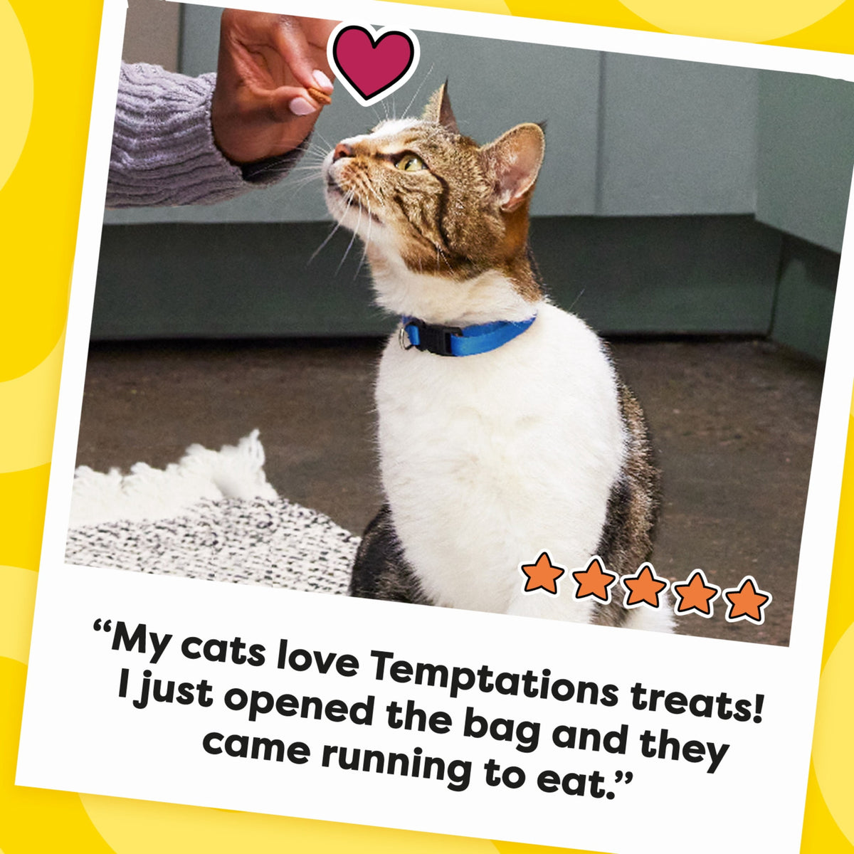 Temptations Birthday Cat Treats, Lobster and Beef, 16 oz. Tub