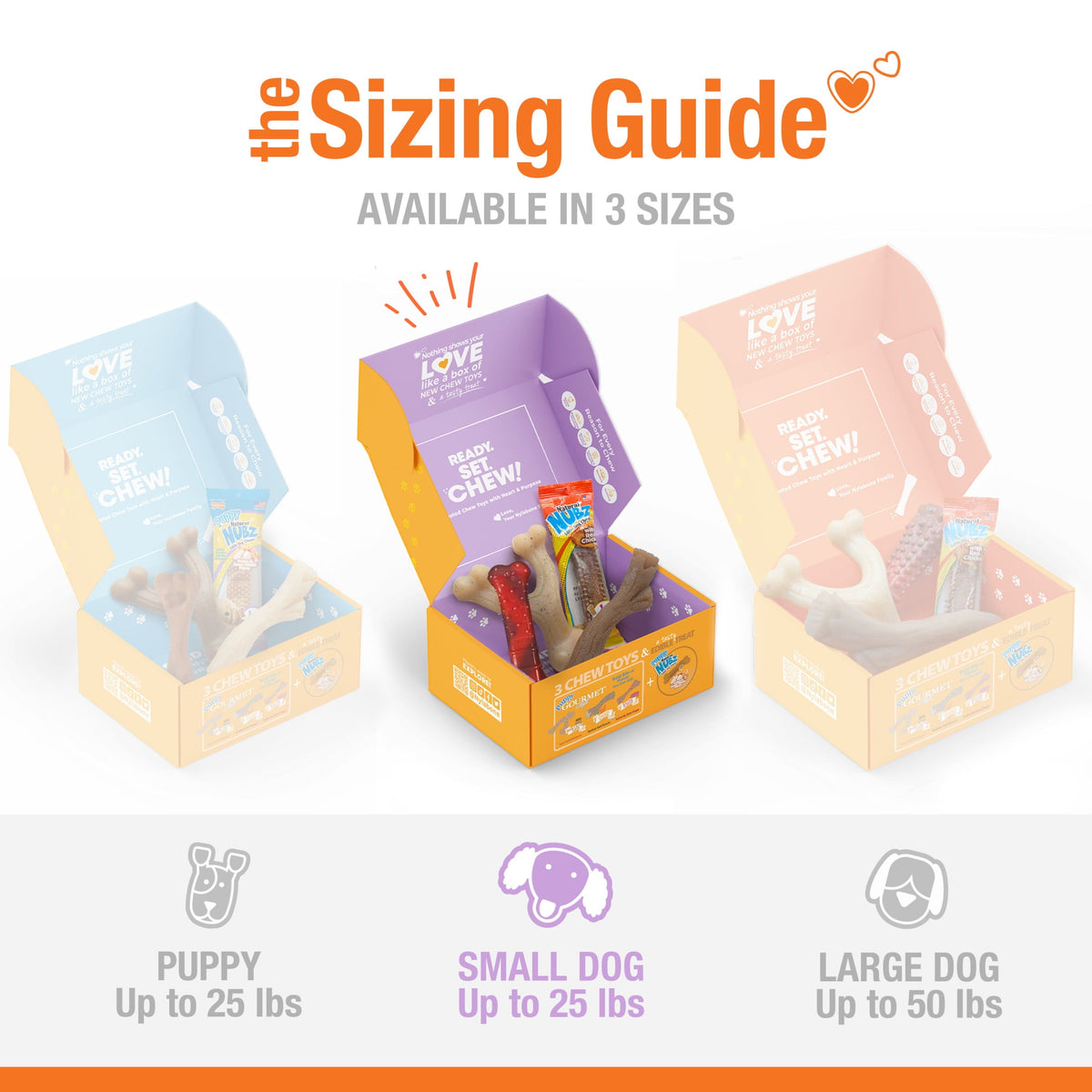 Nylabone Dog Toy Gift Box, Includes 3 Dog Chew Toys and 1 Dog Treat, Small Dogs, 4 Pack