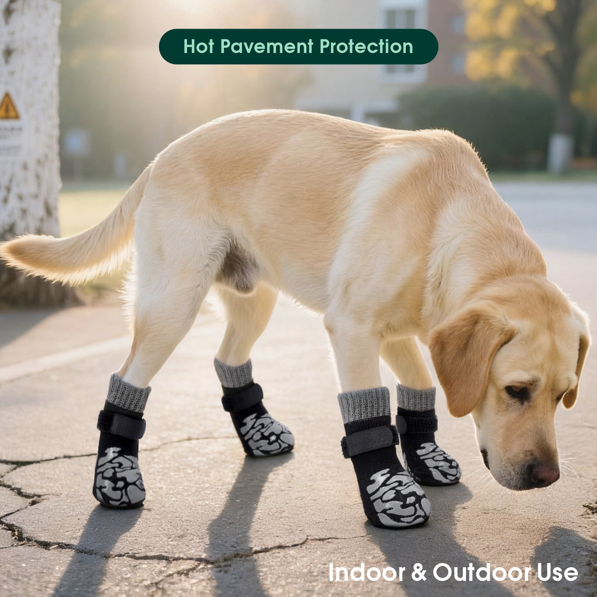 Kuoser Non-Slip Dog Socks for Hardwood Floors & Hot Pavement, Adjustable Pet Socks to Stop Licking and Slipping, Black, M