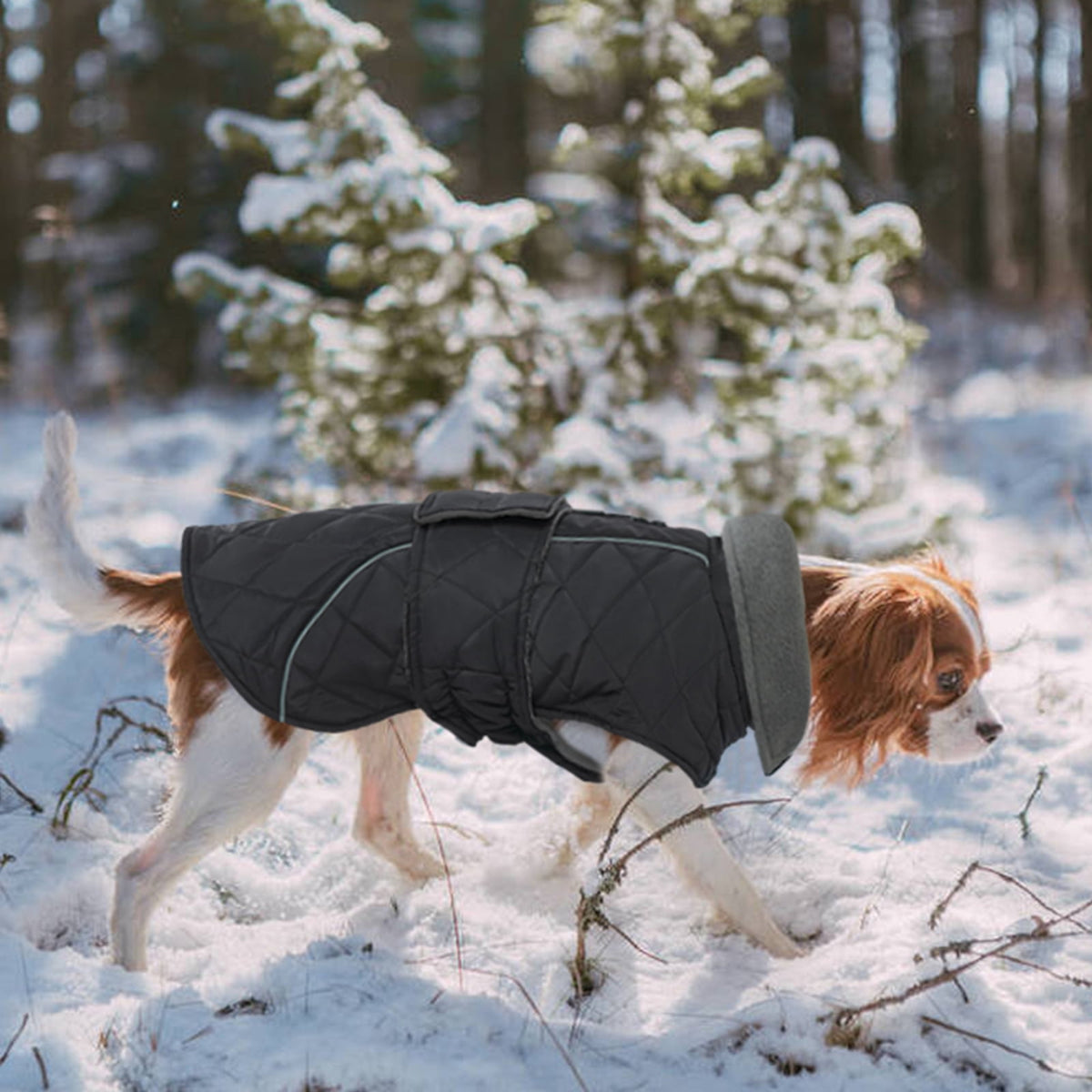 Kuoser Dog Coat Warm Dog Winter Jacket for Small Medium Large Dogs, Green, M
