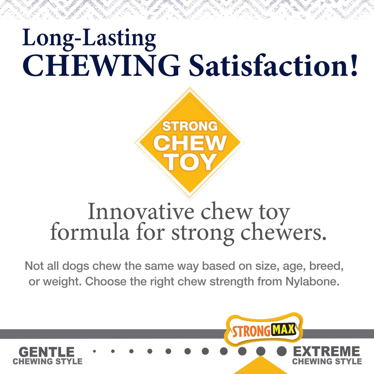 Nylabone Strong Chew Gourmet Style Femur Bone Dog Toy, Dog Chew Toy, Bacon & Chicken Flavor, Small, 2 Pack