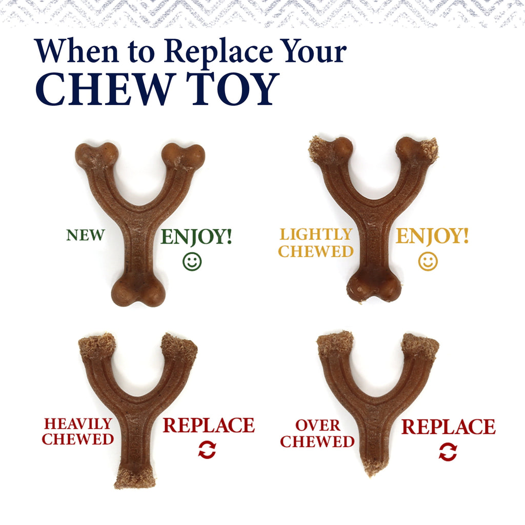 Nylabone Strong Chew Gourmet Style Wishbone Dog Toy, Dog Chew Toy, Chicken Flavor, Small, 1 Count