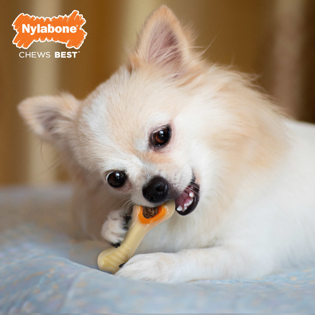 Nylabone Power Chew Knuckle Bone Pop-In Dog Treat Toy, Dog Toy, Chicken Flavor, Medium