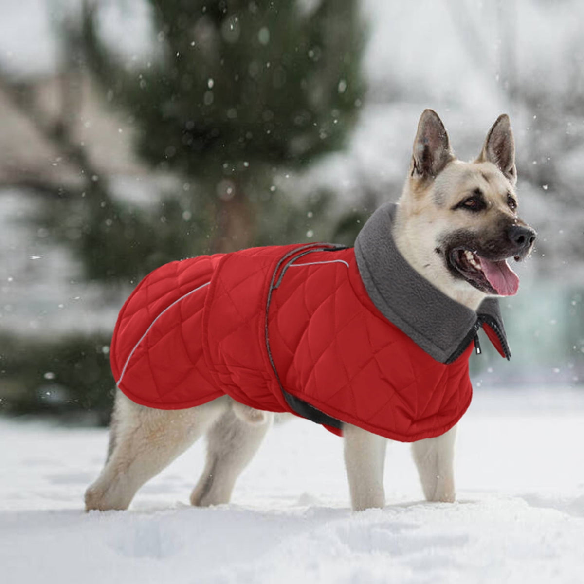 Kuoser Dog Coat Warm Dog Winter Jacket for Small Medium Large Dogs, Green, M