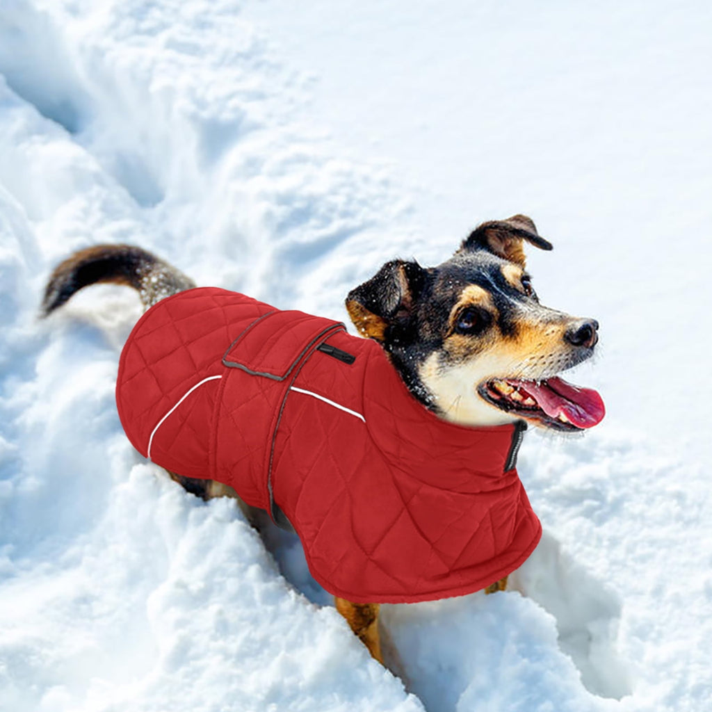 Kuoser Dog Coat Warm Dog Winter Jacket for Small Medium Large Dogs, Green, M