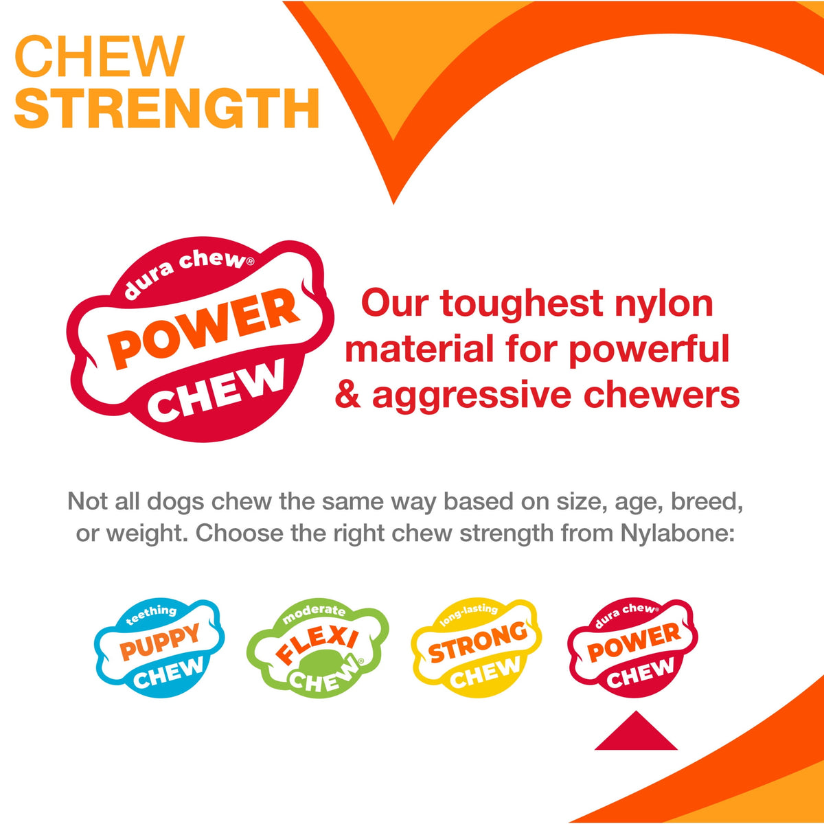 Nylabone Power Chew Monster Bone Dog Toy, Dog Chew Toy, Chicken Flavor, XX-Large, 1 Count