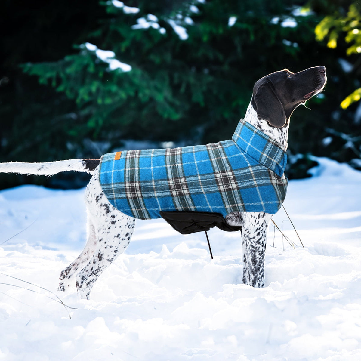 Kuoser Reversible Dog Coat Adjustable British Style Plaid Pet Jacket, Waterproof and Windproof, Blue, M