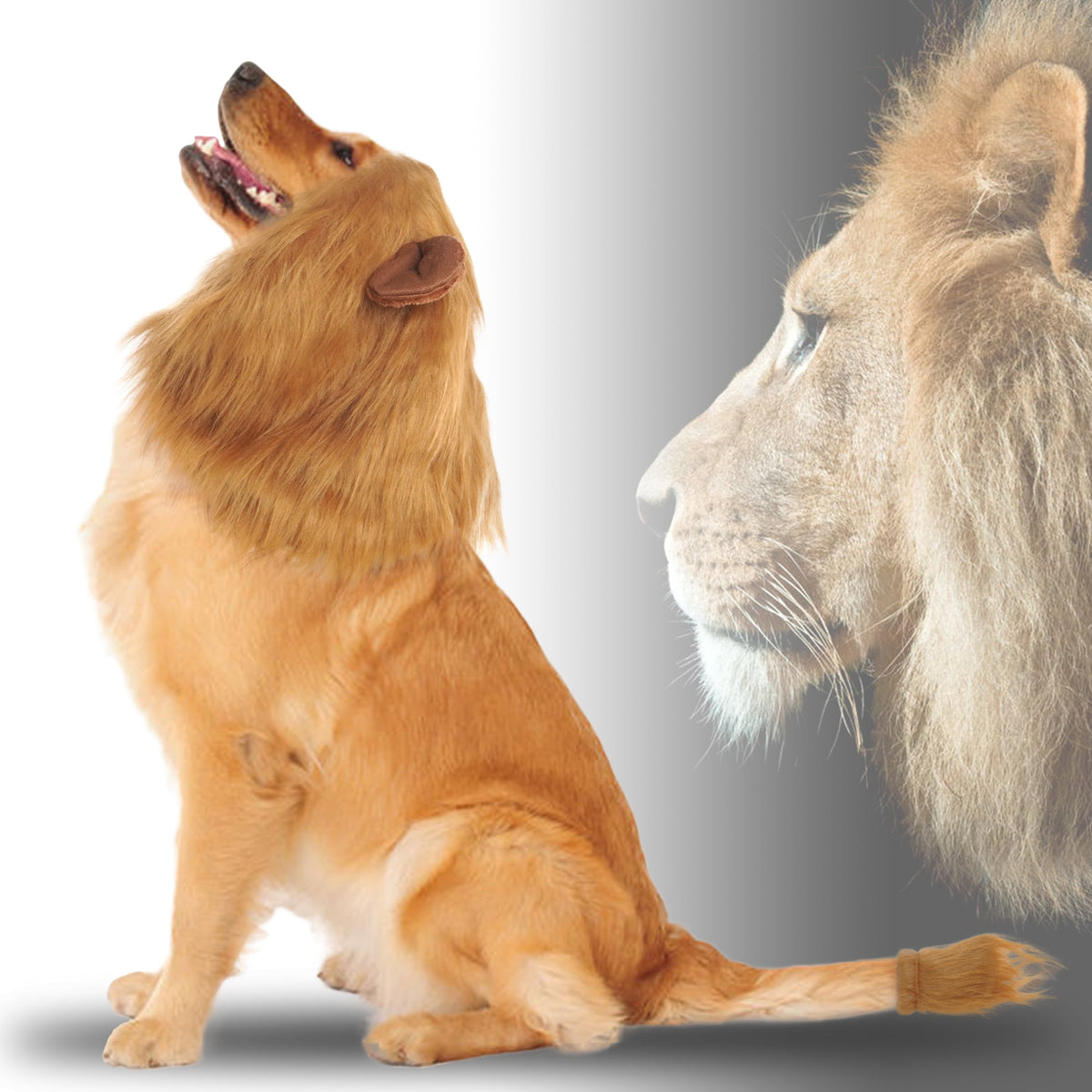 Kuoser Large Dog Lion Mane with Tail Halloween Dog Costumes Fits Neck Size 13- 29.13 inch Funny Accessories for Holidays