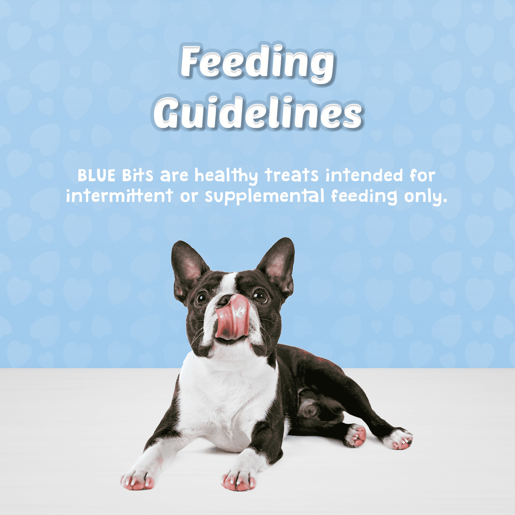 Blue Buffalo Bits Soft Dog Treats for Training, Enhanced with DHA, 19-oz. Bag