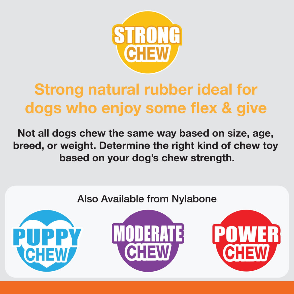 Nylabone Strong Chew Braid Bone Dog Toy, Dog Chew Toy, Vanilla Flavor, Medium, 1 Count