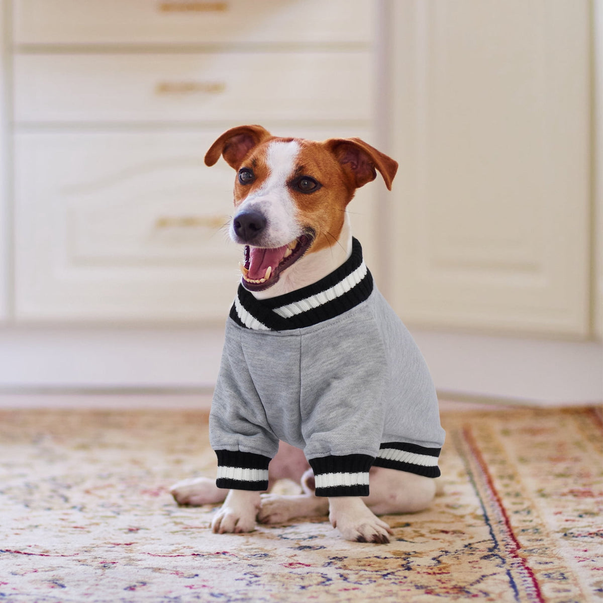 Kuoser Dog Winter Sweater, Cute Pet Pullover Vest, Soft and Thick Sweatshirt for Dogs and Cats, Green, XL