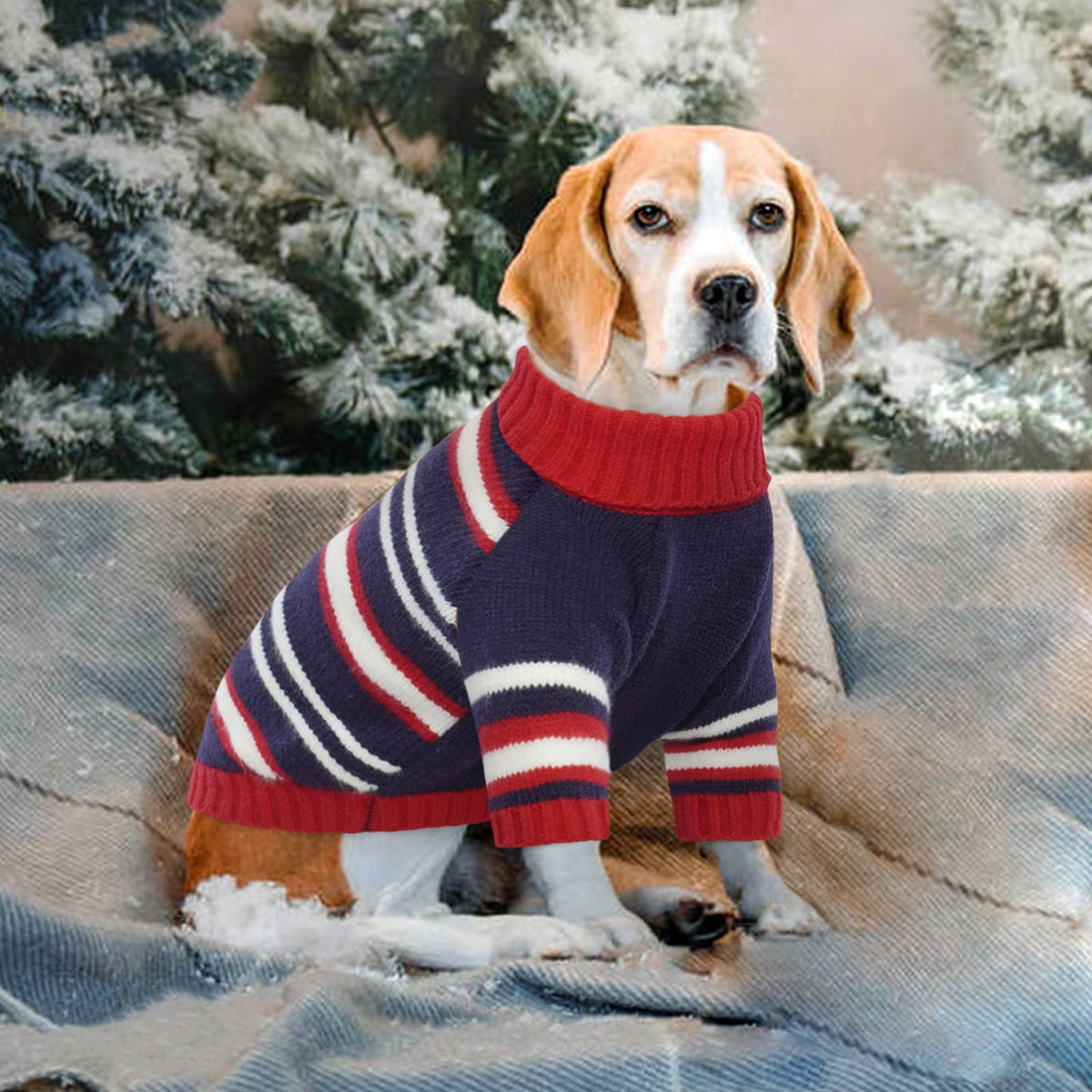 Kuoser Dog Cat Sweater Pet Warm Winter Clothes Knitwear for Dogs, Blue, M