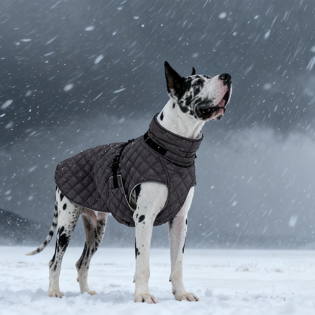 Kuoser Dog Winter Coat Warm Reflective Pet Jacket Waterproof Cold Weather Clothes for Dogs, Gray, M
