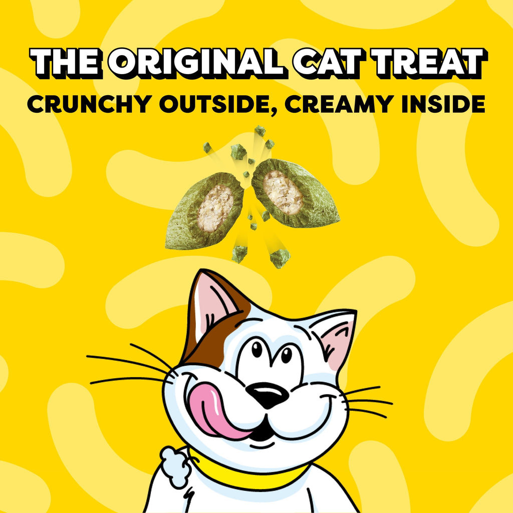 Temptations Classic Blissful Catnip Flavor Crunchy And Soft Treats For Cats, 16 Oz Tub