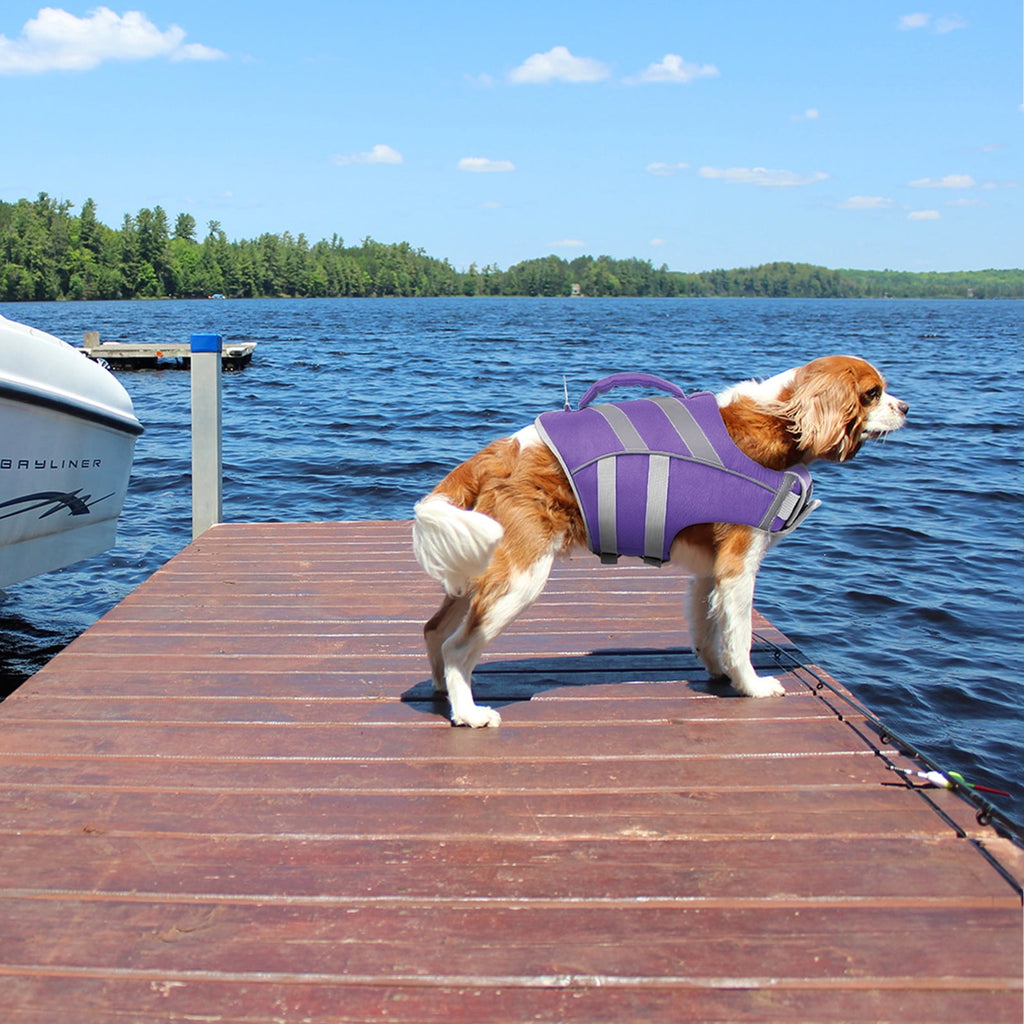 Kuoser Dog Life Jacket with Reflective Stripes, Adjustable Dog Life Vest, Red, M