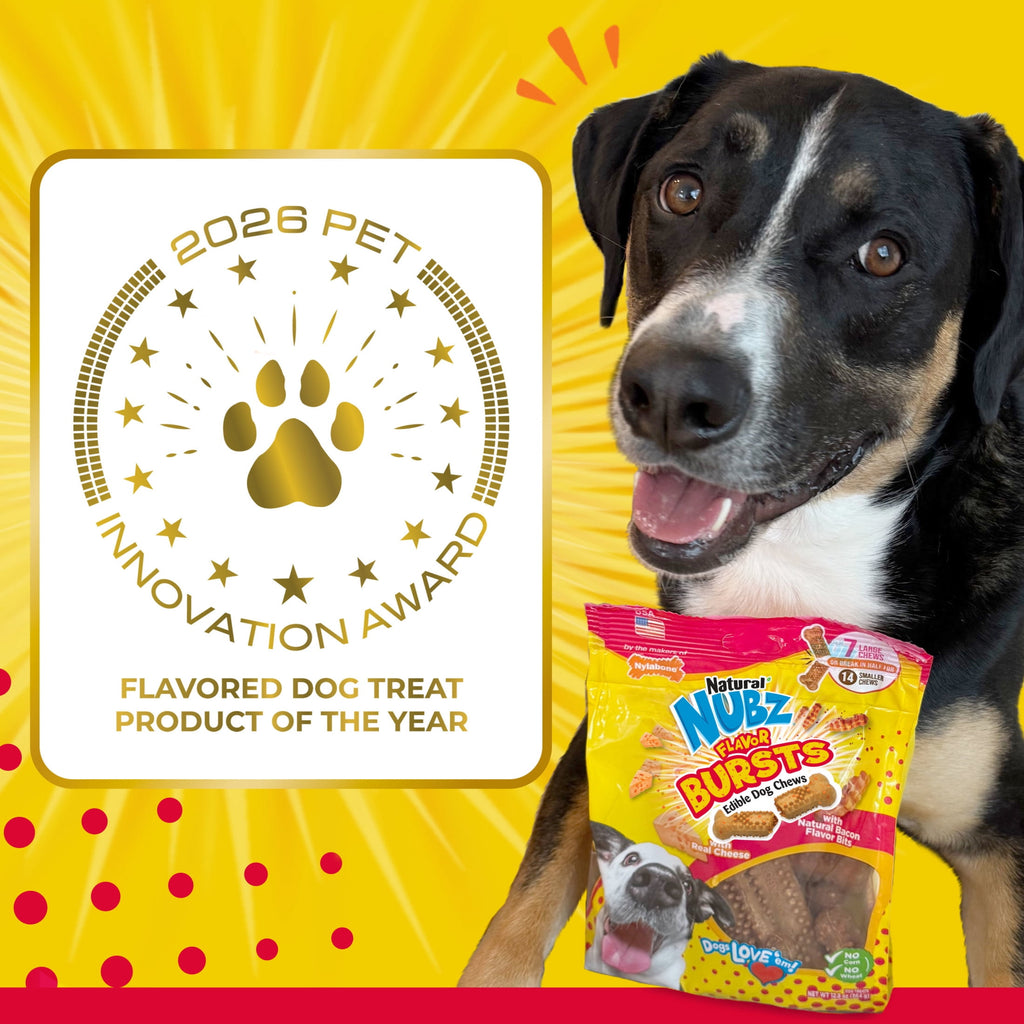 Nylabone Nubz Flavor Bursts Natural Dog Treats for Large Dogs, Bacon & Cheese Flavor Dog Bones, Large - 30+ lbs., 20 Count