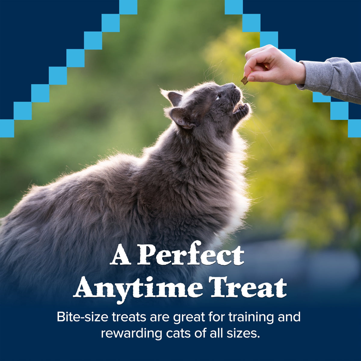 Blue Buffalo Wilderness Crunchy Cat Treats, Tasty Salmon Flavor, 12-oz. Tub
