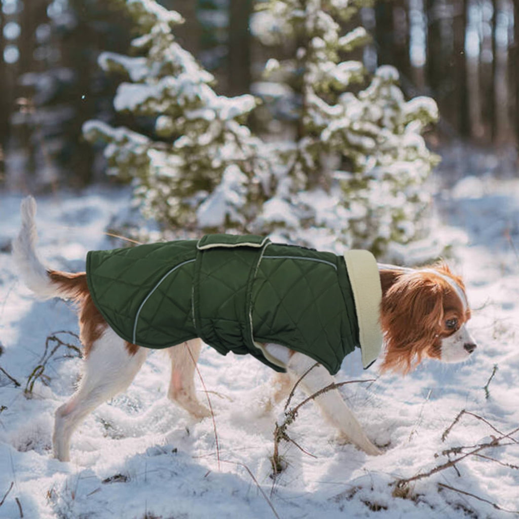 Kuoser Dog Coat Warm Dog Winter Jacket for Small Medium Large Dogs, Green, M