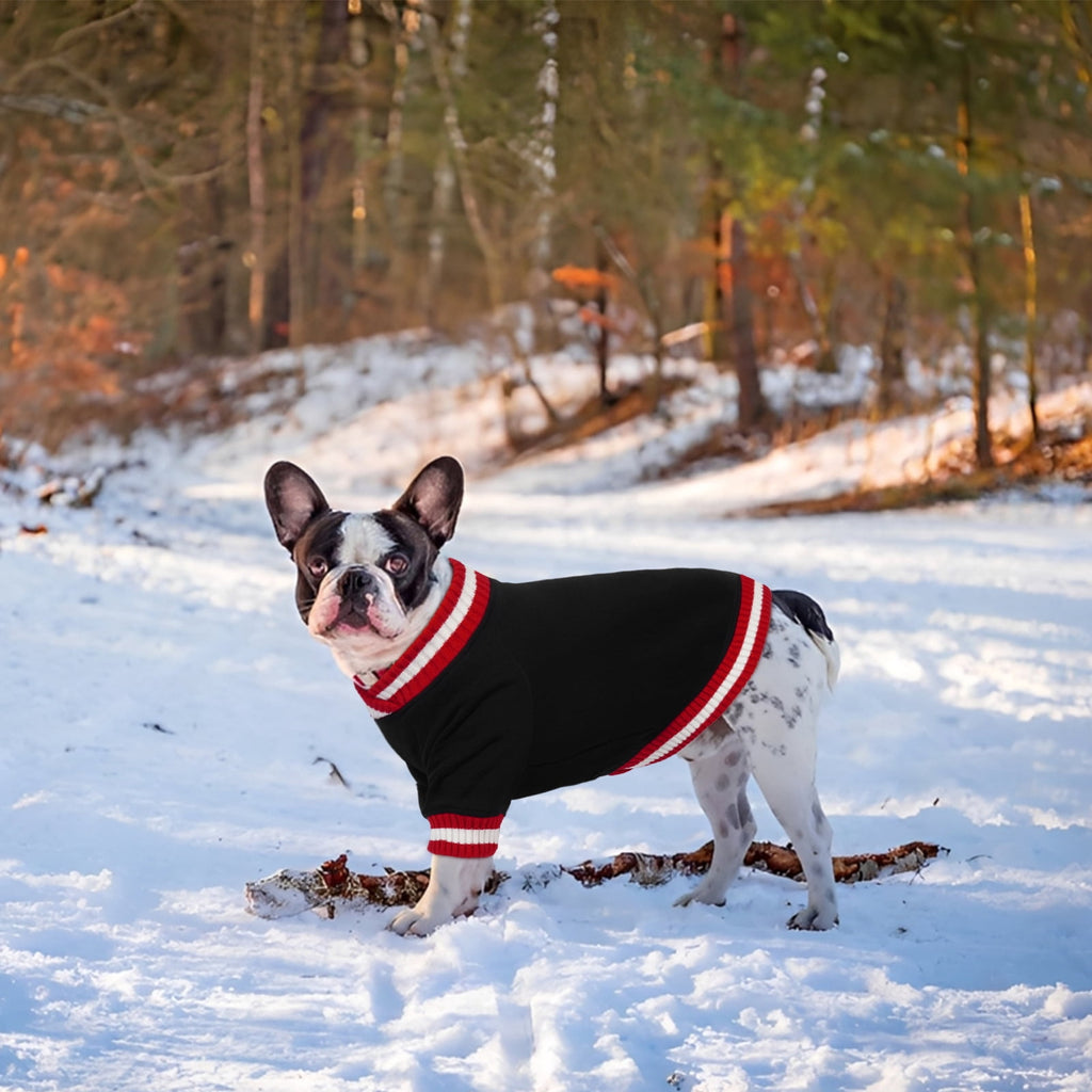 Kuoser Dog Winter Sweater, Cute Pet Pullover Vest, Soft and Thick Sweatshirt for Dogs and Cats, Green, XL