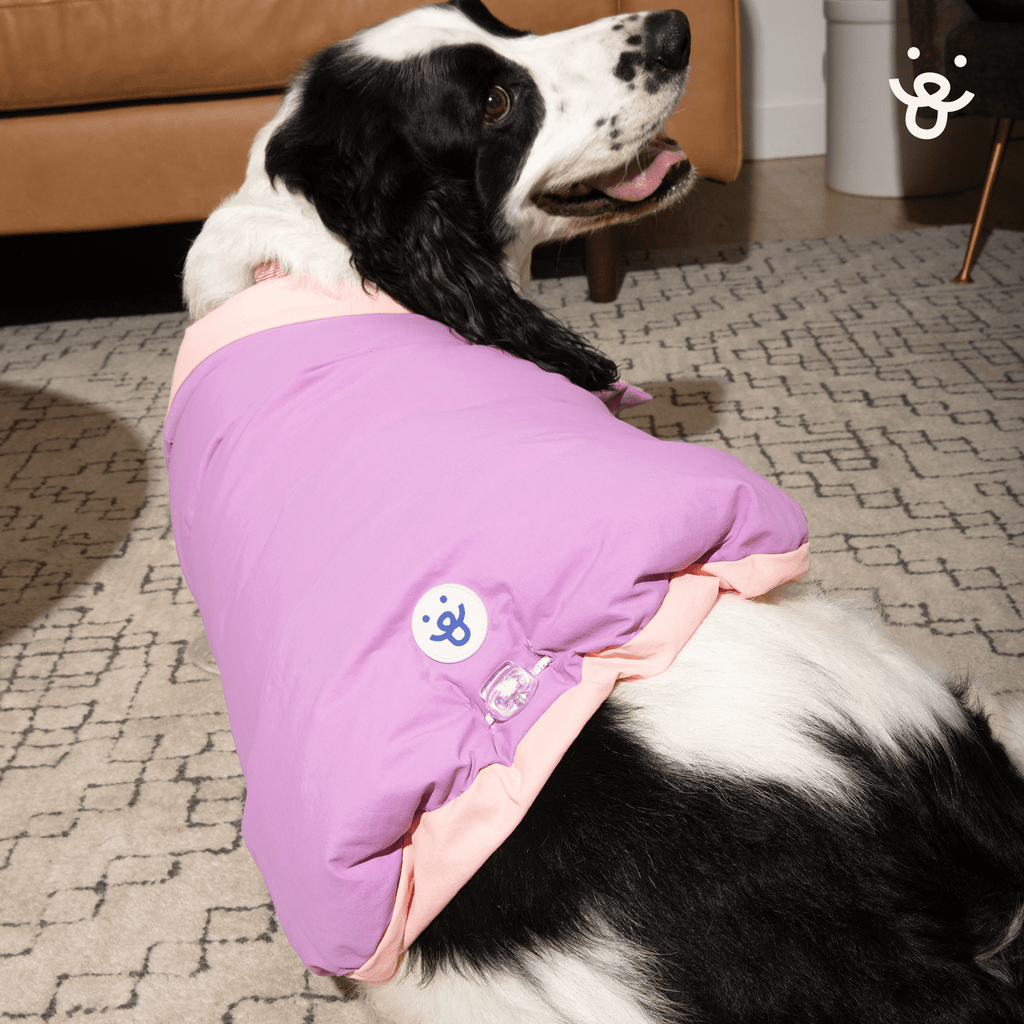 Oodles Quilted Fall Puffer Dog Jacket, Pink, Small