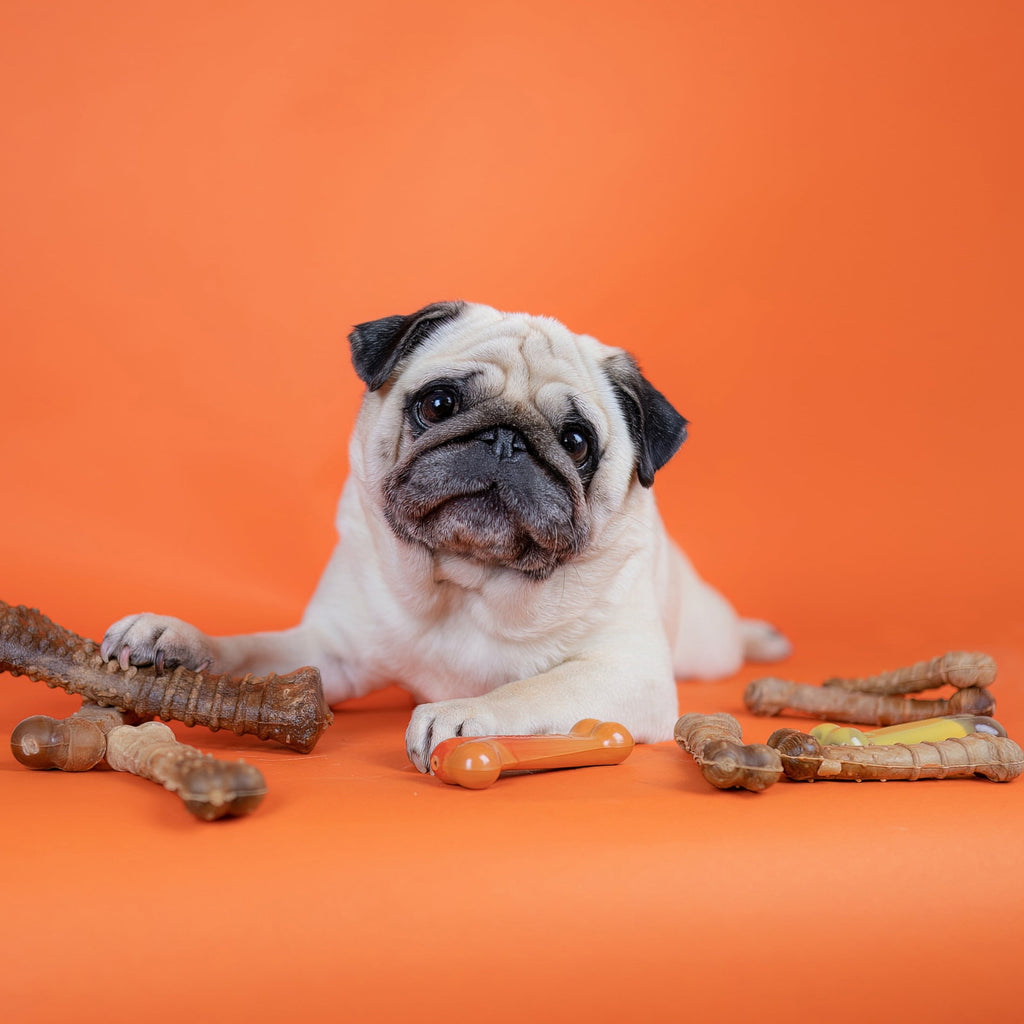 Nylabone Healthy Edibles Natural Dog Treats, Long Lasting Dog Bones, Bacon Flavor Dog Treats, For Medium Dogs (2 Count)