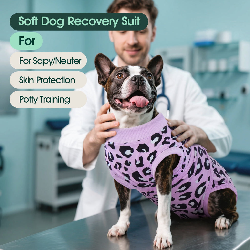 Kuoser Dog Recovery Suit after Surgery, Professional Surgical Onesie for Male Female Dogs, Soft Pet Surgery Suit for Abdominal Wounds Skin Disease, Purple Leopard, XL