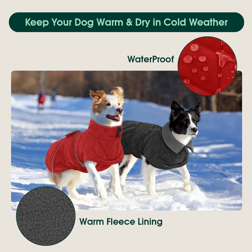 Kuoser Dog Coat Warm Dog Winter Jacket for Small Medium Large Dogs, Green, M