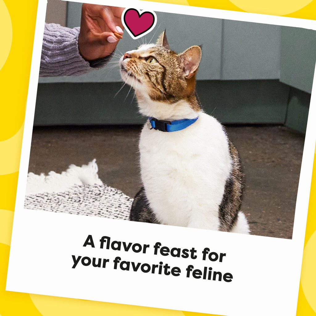 Temptations MixUps Backyard Cookout Flavor Crunchy & Soft Cat Treats, 16 oz Tub