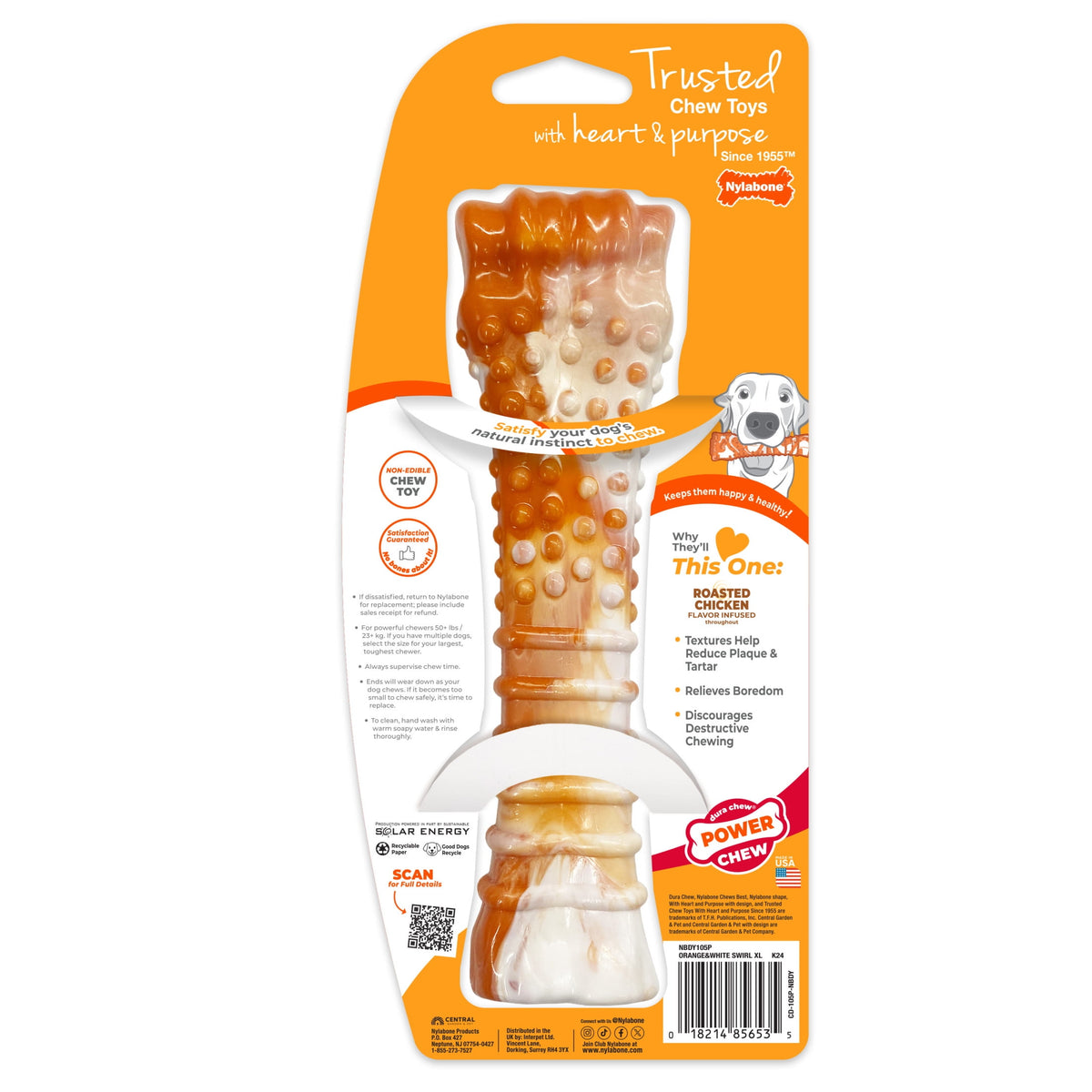 Nylabone Power Chew 70th Birthday Textured Bone Dog Toy, Dog Chew Toy, Chicken Flavor, Medium, 1 Count