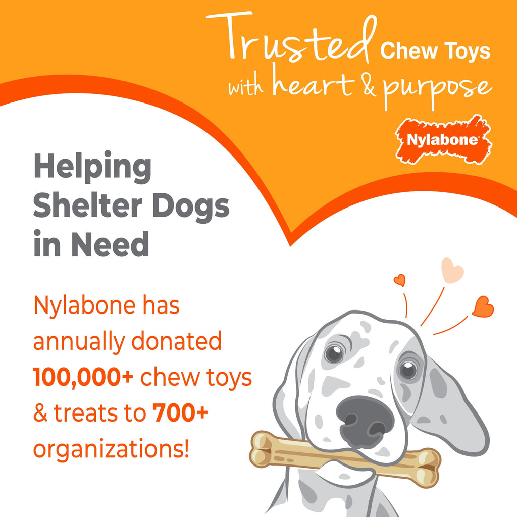 Nylabone Power Chew Textured Bone Dog Toy, Dog Chew Toy, Bacon & Steak Flavor, Large, 1 Count